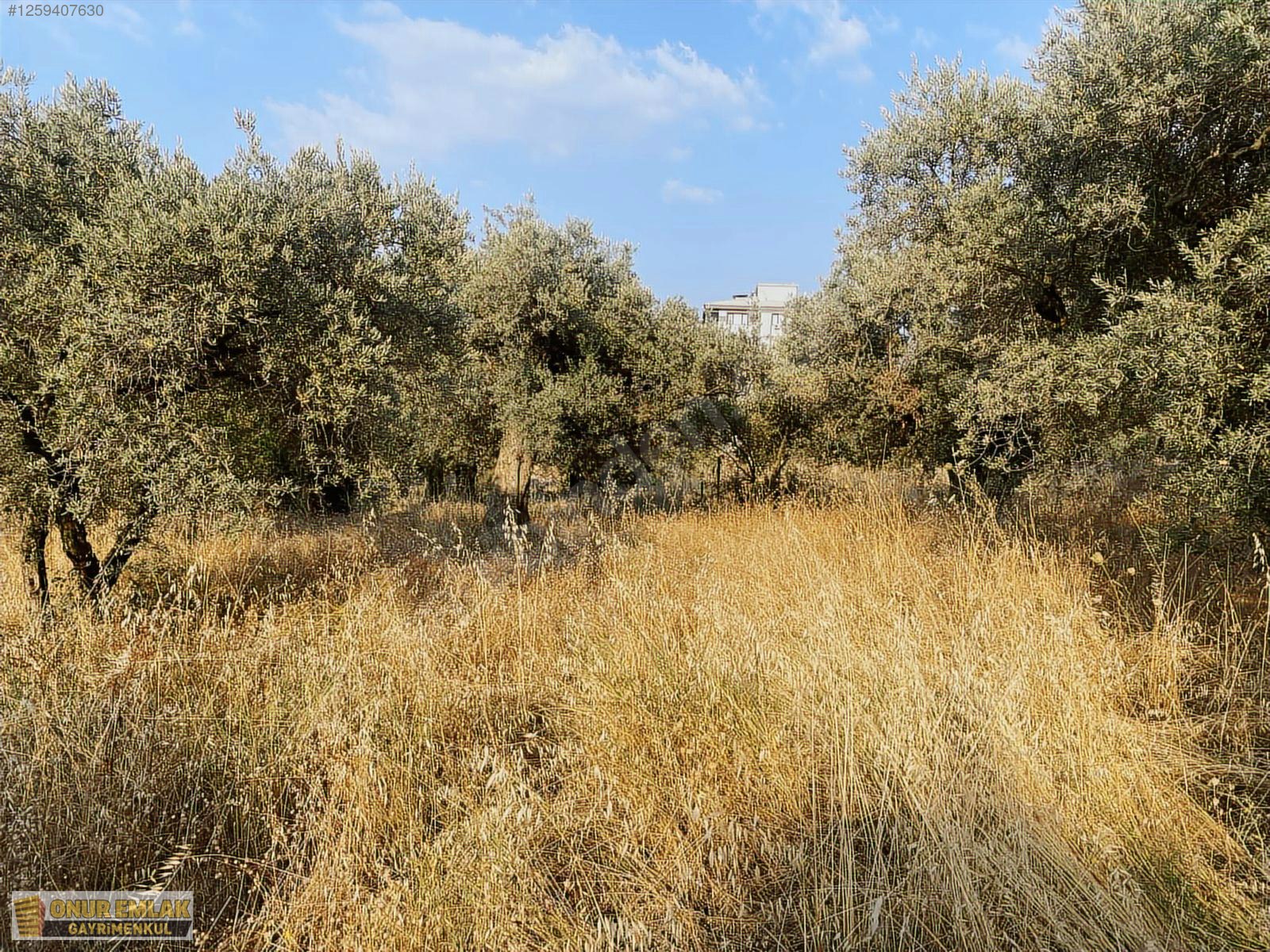 3 Kat İmarlı Arsa - İZMİR KEMALPAŞA fotoğraf 7