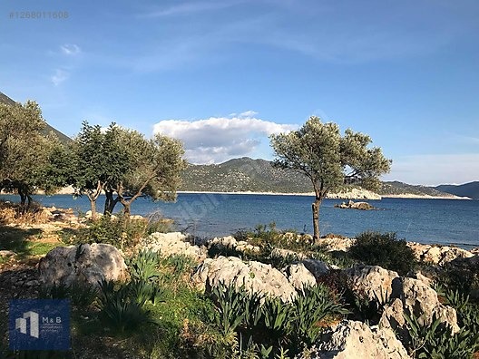 KAŞ BELENLİ KÖYÜNDE FULL DENİZ MANZARALI YATIRIMLIK AR - ANTALYA KAŞ fotoğraf 2