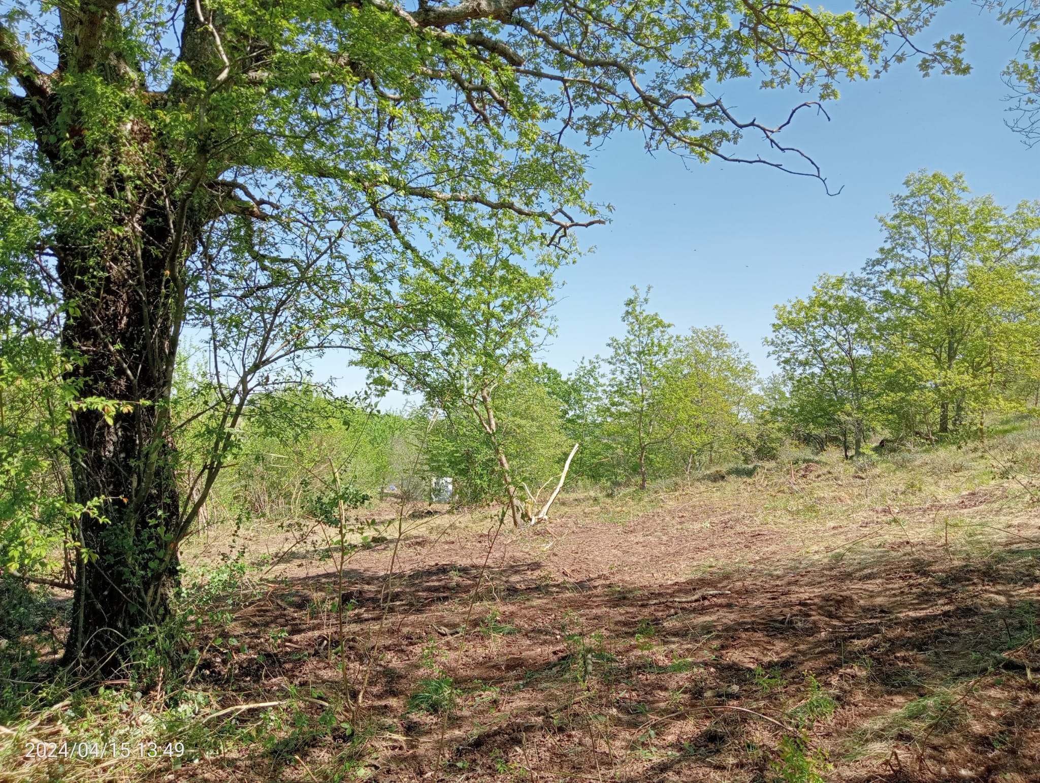    KOCAELİ KANDIRA ÇAKMAKLAR  KÖYÜNDE 206 M²  TARLA SATILIKTIR - KOCAELİ KANDIRA fotoğraf 13