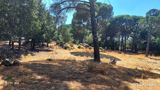 BERGAMA KOZAK YAYLASI YUKARIBEY MAH DE 6800 M2 FISTIKLIK - İZMİR BERGAMA fotoğraf 5