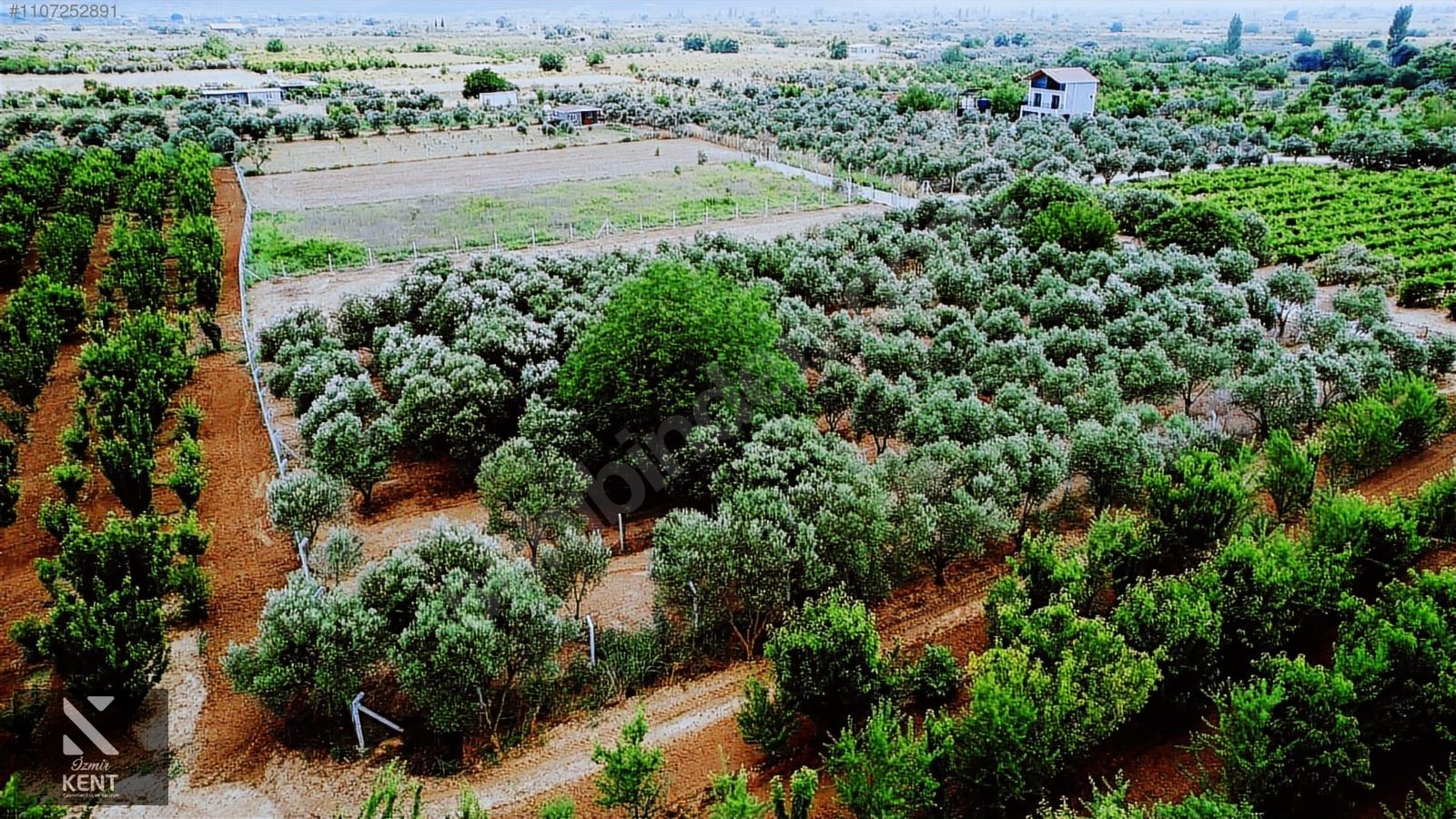 Kemalpaşa Aşağıkızılca Satılık Bahçe Tek Tapu 881 m2 - İZMİR KEMALPAŞA fotoğraf 14