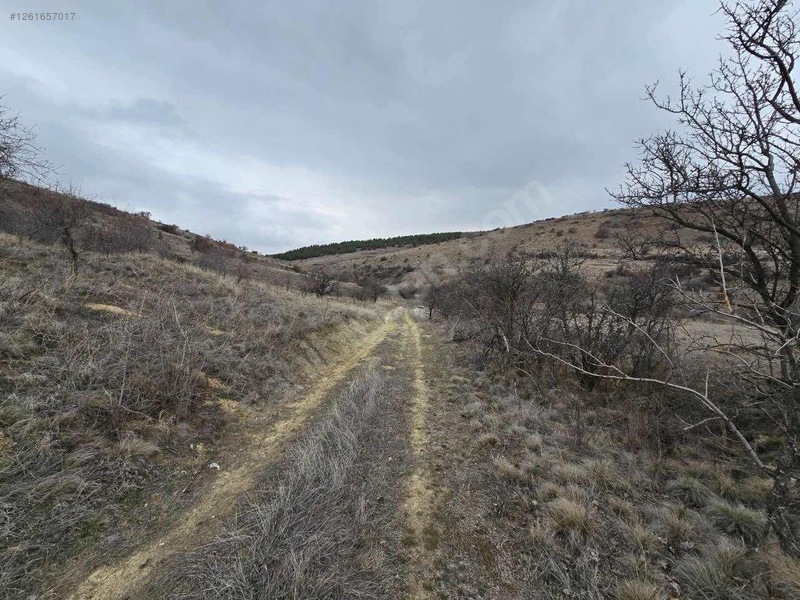 DENİZLİ ÇİVRİL BOZDAĞ   KÖYÜNDE   2.100  M²  TARLA  SATILIKTIR - DENİZLİ ÇİVRİL fotoğraf 7