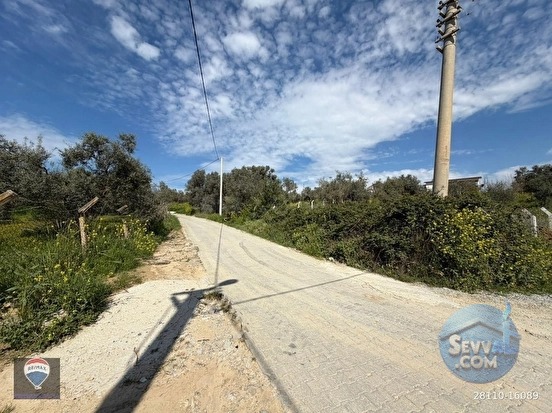 ŞEHIR MERKEZINE YAKIN 11.268 M² SATILIK ZEYTINLIK - AYDIN KUŞADASI fotoğraf 12