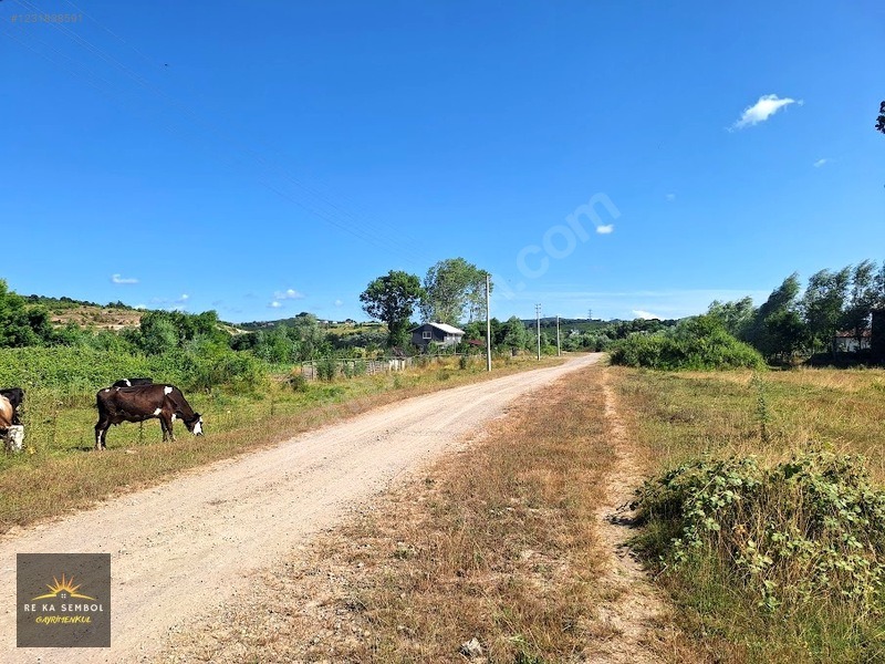 KARASU KUZULUK MAHALLESİNDE SATILIK 7.170 M2 TARLA - SAKARYA KARASU fotoğraf 6