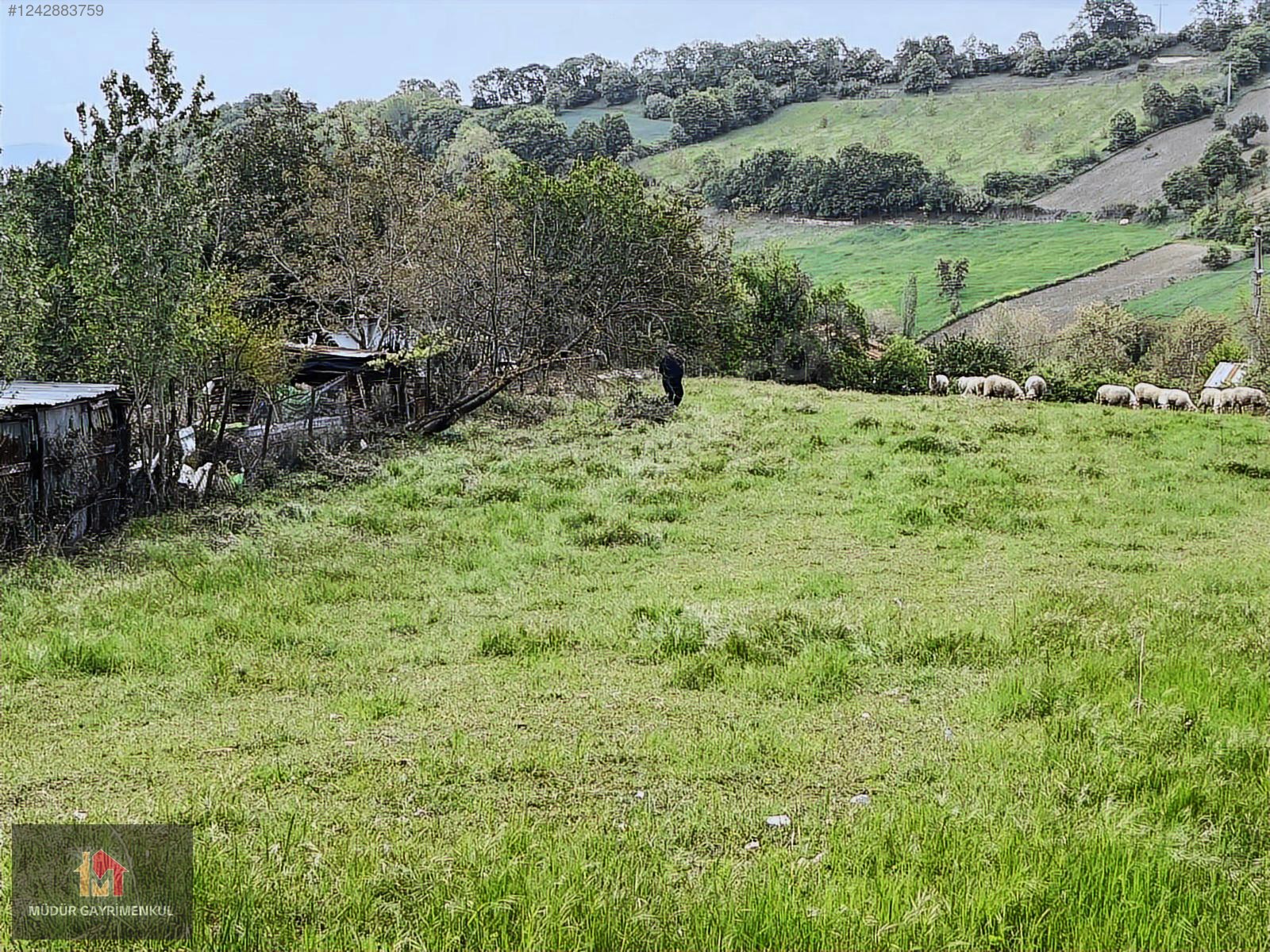 MÜDÜR'DEN GÖNENİN EN GÜZEL KÖYÜ EKŞİDERE 'DE SATILIK ARSA - BALIKESİR GÖNEN fotoğraf 3