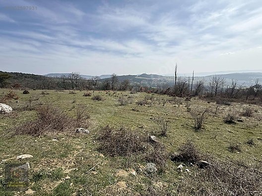 SAKARYA GEYVE DOĞANCIL'DA YOLA CEPHE 7.651 M2 UYGUN ARSA - SAKARYA GEYVE fotoğraf 7