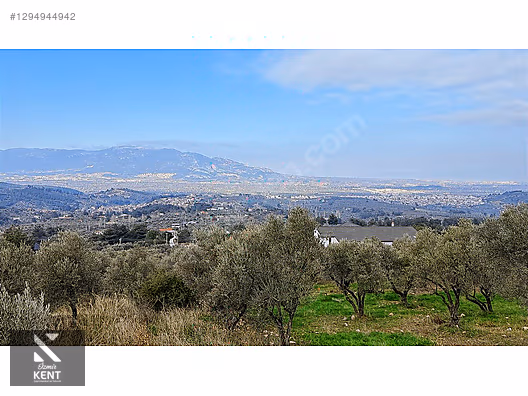 Kemalpaşa Yukarıkızılca Satılık İmar sınırında 6250m2 Zeytinlik - İZMİR KEMALPAŞA fotoğraf 2