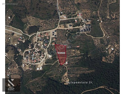 Kemalpaşa Yukarıkızılca Satılık İmar sınırında 6250m2 Zeytinlik - İZMİR KEMALPAŞA fotoğraf 9