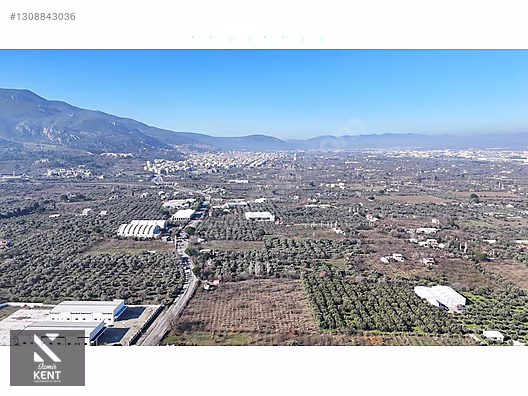 Kemalpaşa M.Akif Ersoy Satılık 7.250 m2 Bahçe Tek Tapu - İZMİR KEMALPAŞA fotoğraf 20