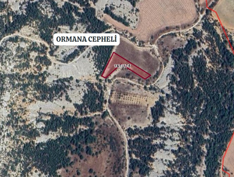    UŞAK ULUBEY BÜYÜKKAYALI KÖYÜ’NDE 3.021 M² TARLA SATILIKTIR - UŞAK ULUBEY fotoğraf 3