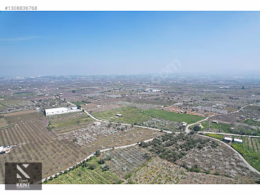 Kemalpaşa Ören 75. Yıl Satılık 8770 m2 Tek Tapu Tarla - İZMİR KEMALPAŞA fotoğraf 11