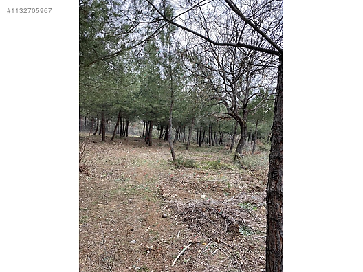 ÇAMLIKTA   BUNGOLOV EV - BURSA YENİŞEHİR fotoğraf 5