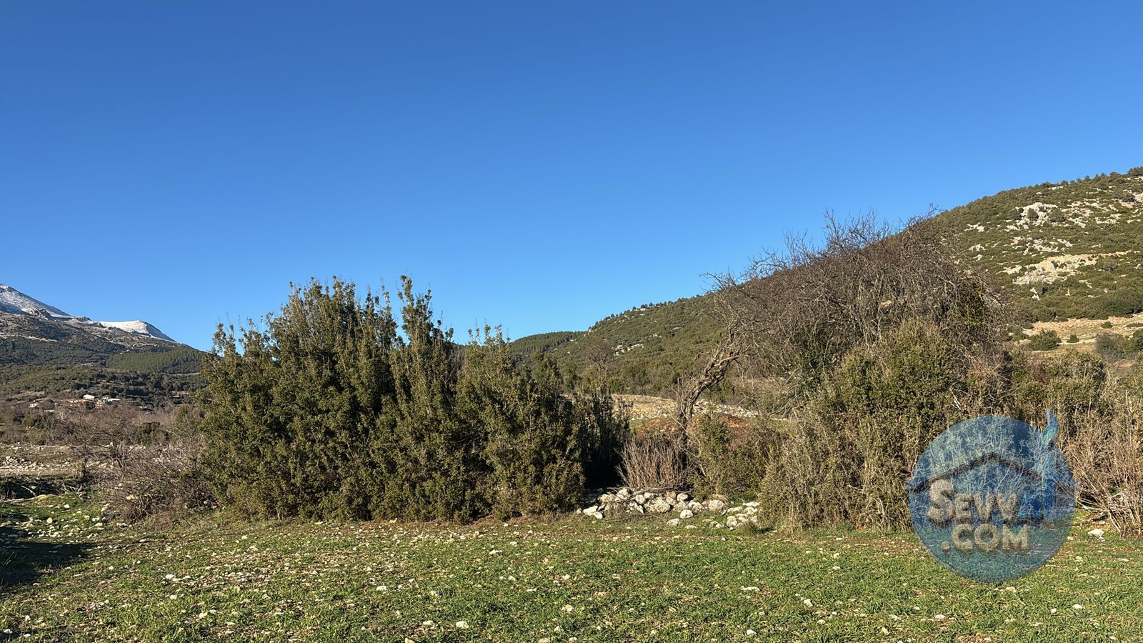 BURDUR-AĞLASUN YAZIR KÖYÜNDE YATRIMLIK FIRSAT TARLA - Burdur Ağlasun fotoğraf 8