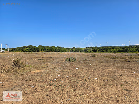 BAĞIRGANLI'DA ARKASI ORMAN ÖNÜ DENİZ 1093 M2 EŞSİZ SATILIK HİSSE - KOCAELİ KANDIRA fotoğraf 7