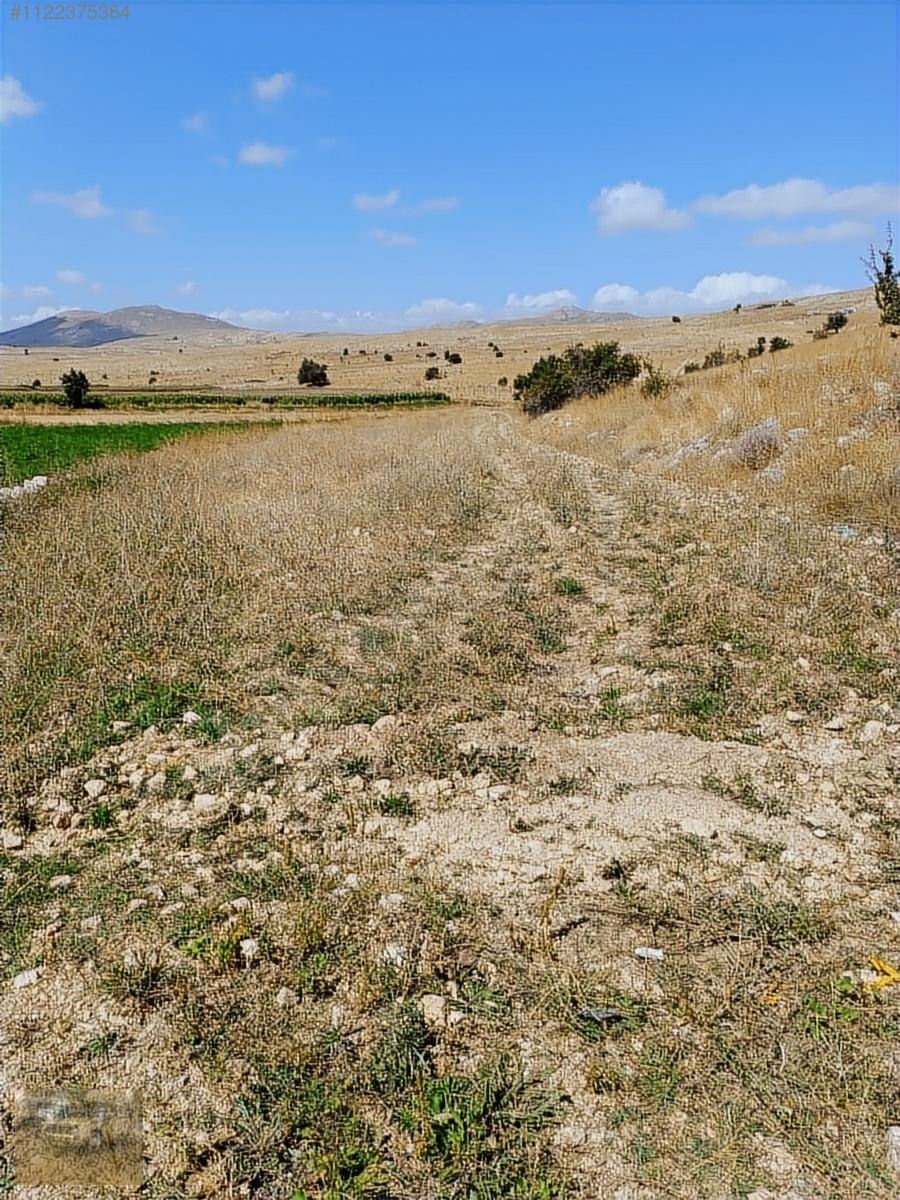 ihtiyaçtan satılık burdur kemer belenlide sınırsız sulamal tarla - BURDUR KEMER fotoğraf 6