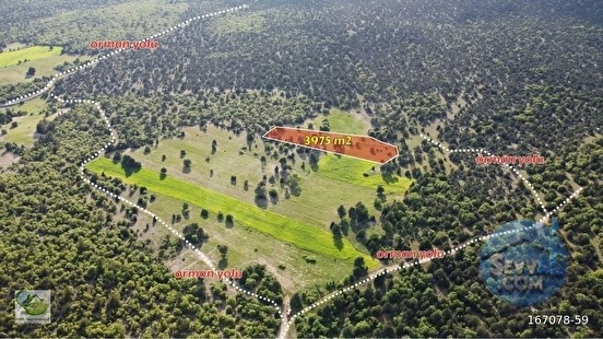 🚨 ÇAVDARHİSAR'DA 3.975 M² TİNY HOUSE VE HAYVANCILIĞA UYGUN FIRSAT ARAZİ 🚨 - KÜTAHYA ÇAVDARHİSAR fotoğraf 5