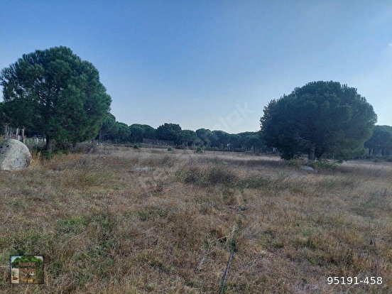 BERGAMA KOZAK HACIHAMZALAR MAH DE 10500 M2 TARIM İMARLI TARLA ÖNÜ PARSEL YOL ELE - İZMİR BERGAMA fotoğraf 8