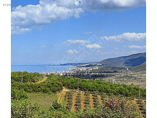 YALOVA ÇINARCIK ŞENKÖY'DE 332  M²  ARSA SATILIKTIR - YALOVA ÇINARCIK fotoğraf 8