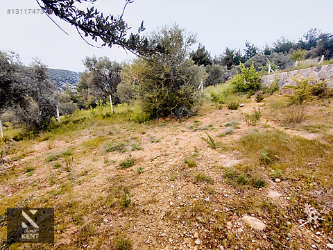 Kemalpaşa Yenmiş'de Satılık Bahçe 406 m2 - İZMİR KEMALPAŞA fotoğraf 2