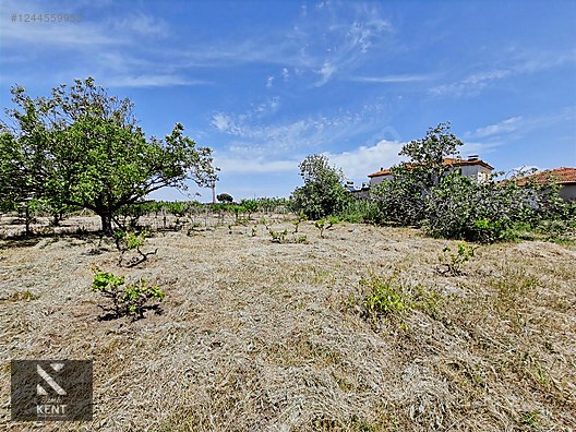 Kemalpaşa Armutlu Satılık 1120 m2 Bahçe - İZMİR KEMALPAŞA fotoğraf 26