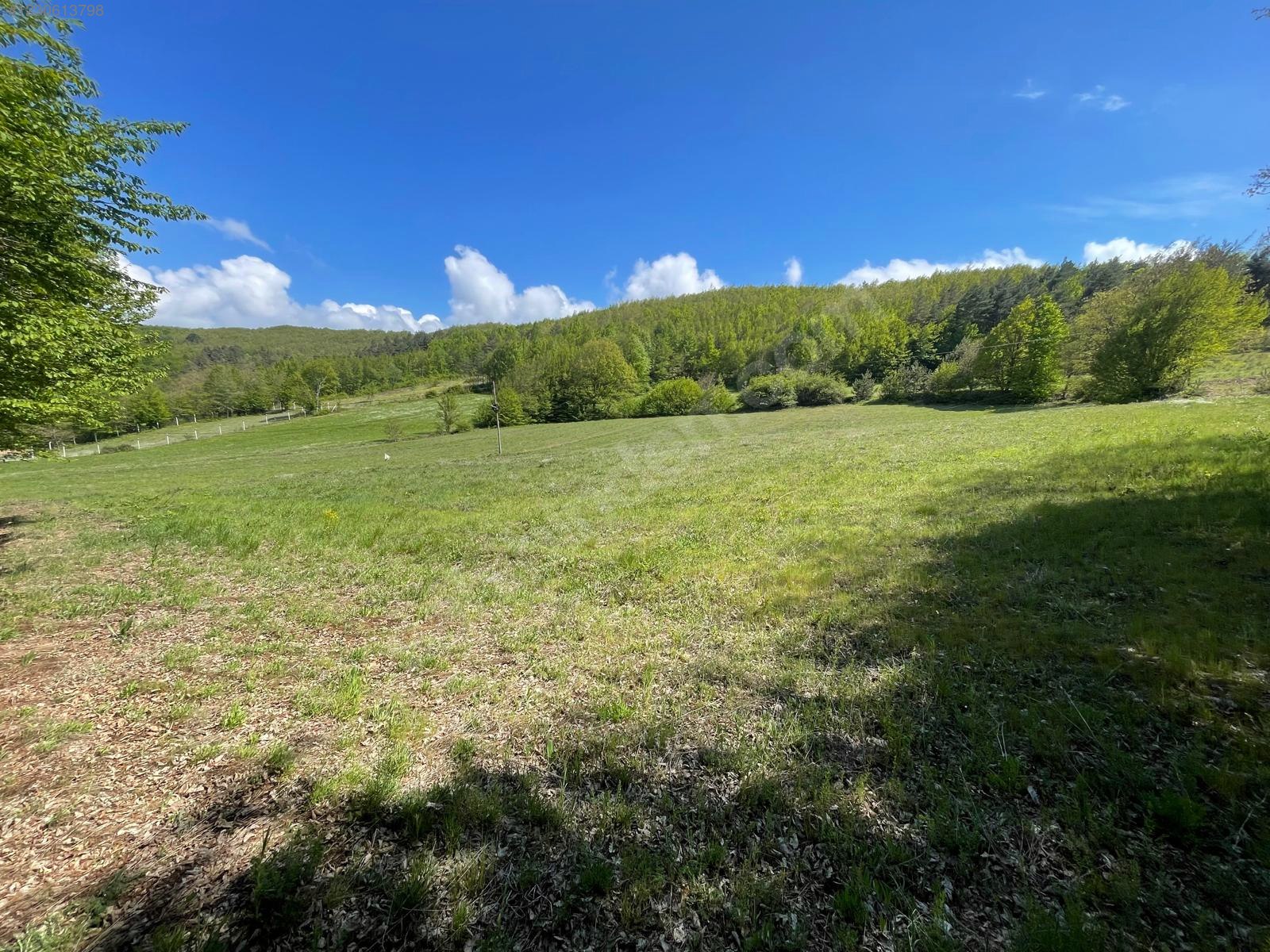 BURSA İZNİK CANDARLI'DA 6.517 M²  TARLA  SATILIKTIR. - BURSA İZNİK fotoğraf 13