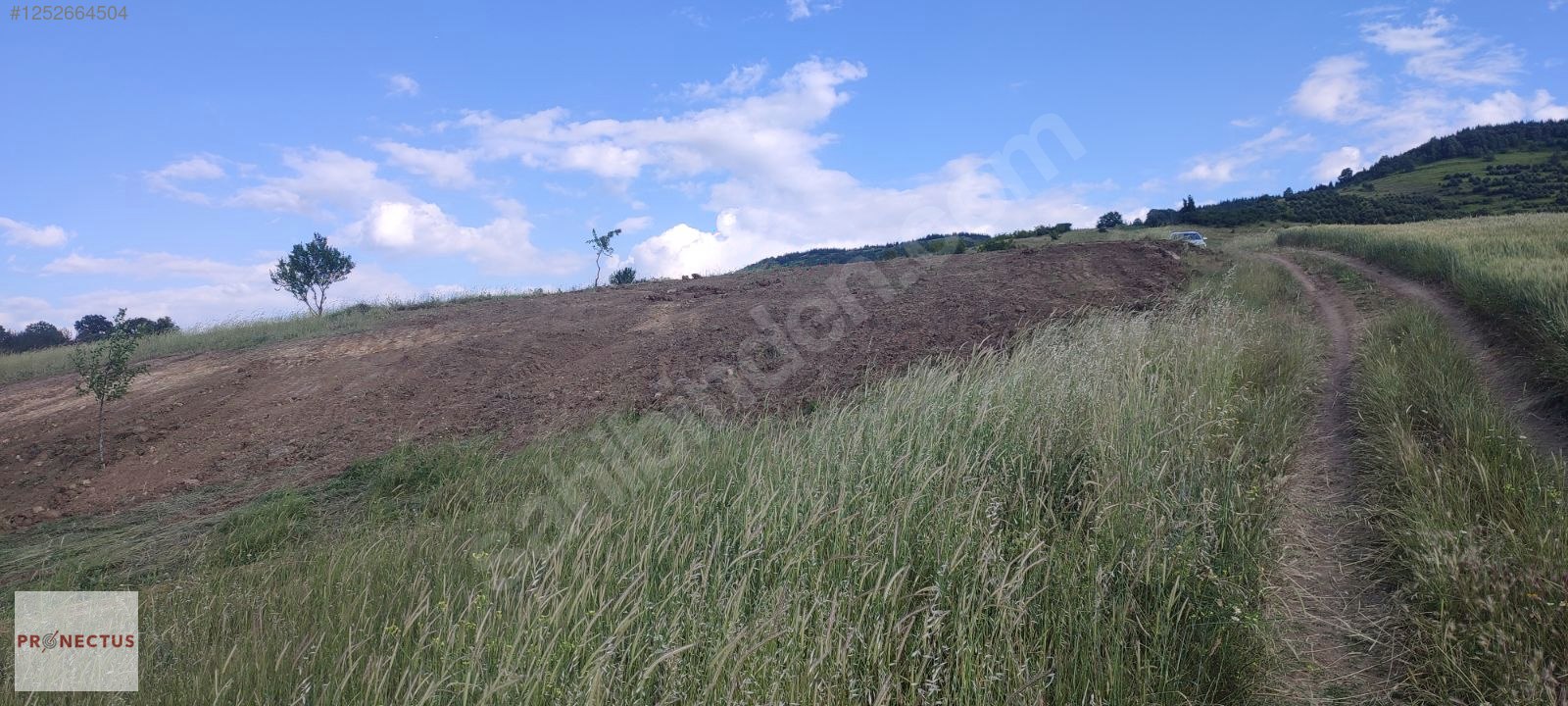 KIZDERBENT MAHALLESİNDE RESMİ YOLLU 2293 M2 SATILIK TARLA - KOCAELİ KARAMÜRSEL fotoğraf 12