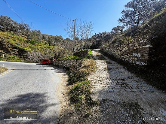 A PLUS GAYRİMENKULDEN YOLA CEPHELİ ELEKTRİK SU BULUNAN ZEYTİNLİK - İZMİR TİRE fotoğraf 7