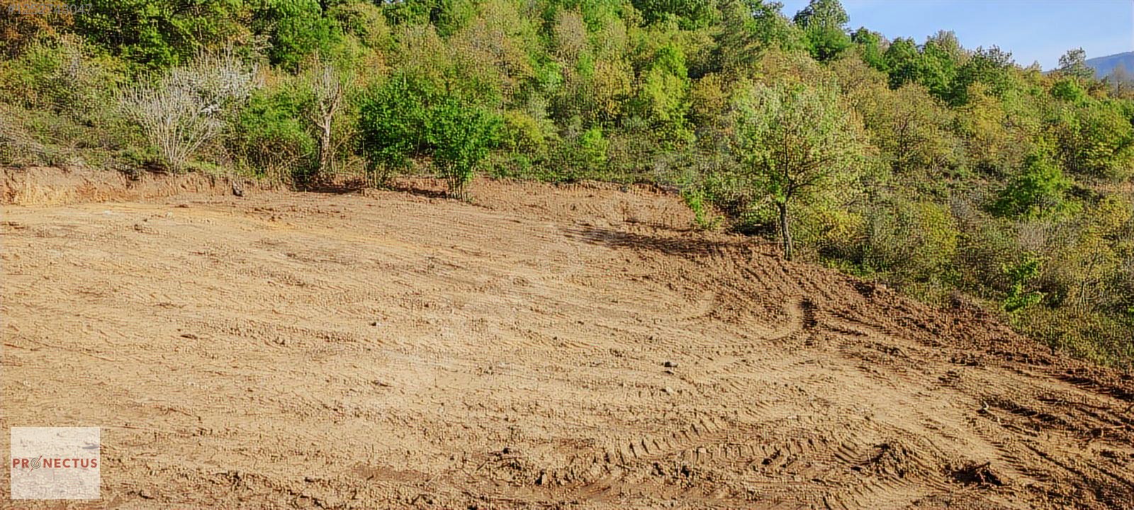 ÇAMDİBİ BOZKURT MAHALLESİNDE 665 M2 SATILIK TARLA - KOCAELİ KARAMÜRSEL fotoğraf 8