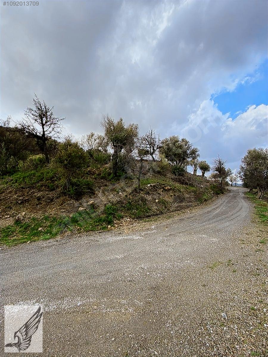 GÖDENCEDE KÖYE YAKIN EV YAPMAYA UYGUN DOĞA İÇİNDE KÖŞE PARSEL - İZMİR SEFERİHİSAR fotoğraf 6