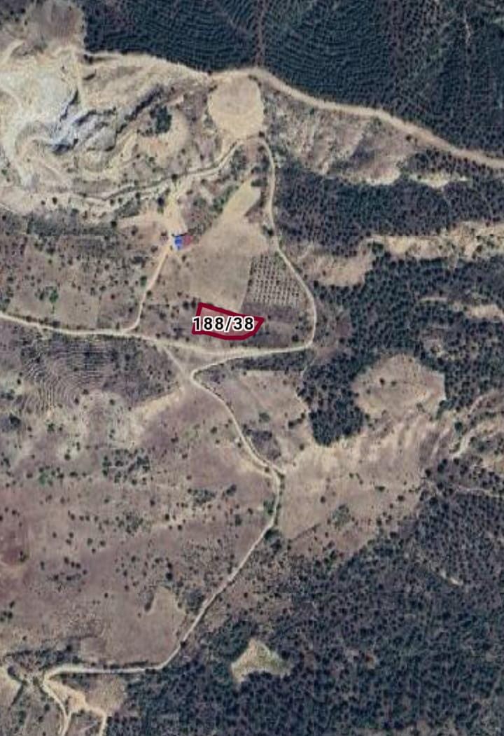 BİLECİK SÖĞÜT HAMİTABAT MAH. 2.468M² TARLA  SATILIKTIR - BİLECİK SÖĞÜT fotoğraf 3