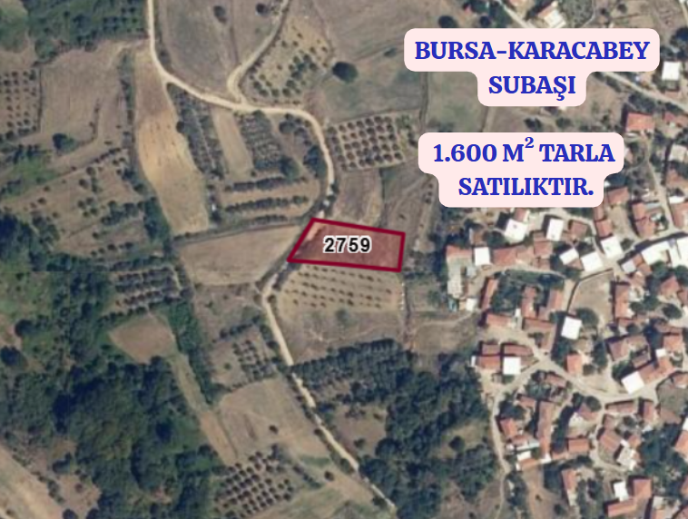 BURSA KARACABEY SUBAŞI KÖYÜNDE 1.600  M² TARLA SATILIKTIR - BURSA KARACABEY fotoğraf 2