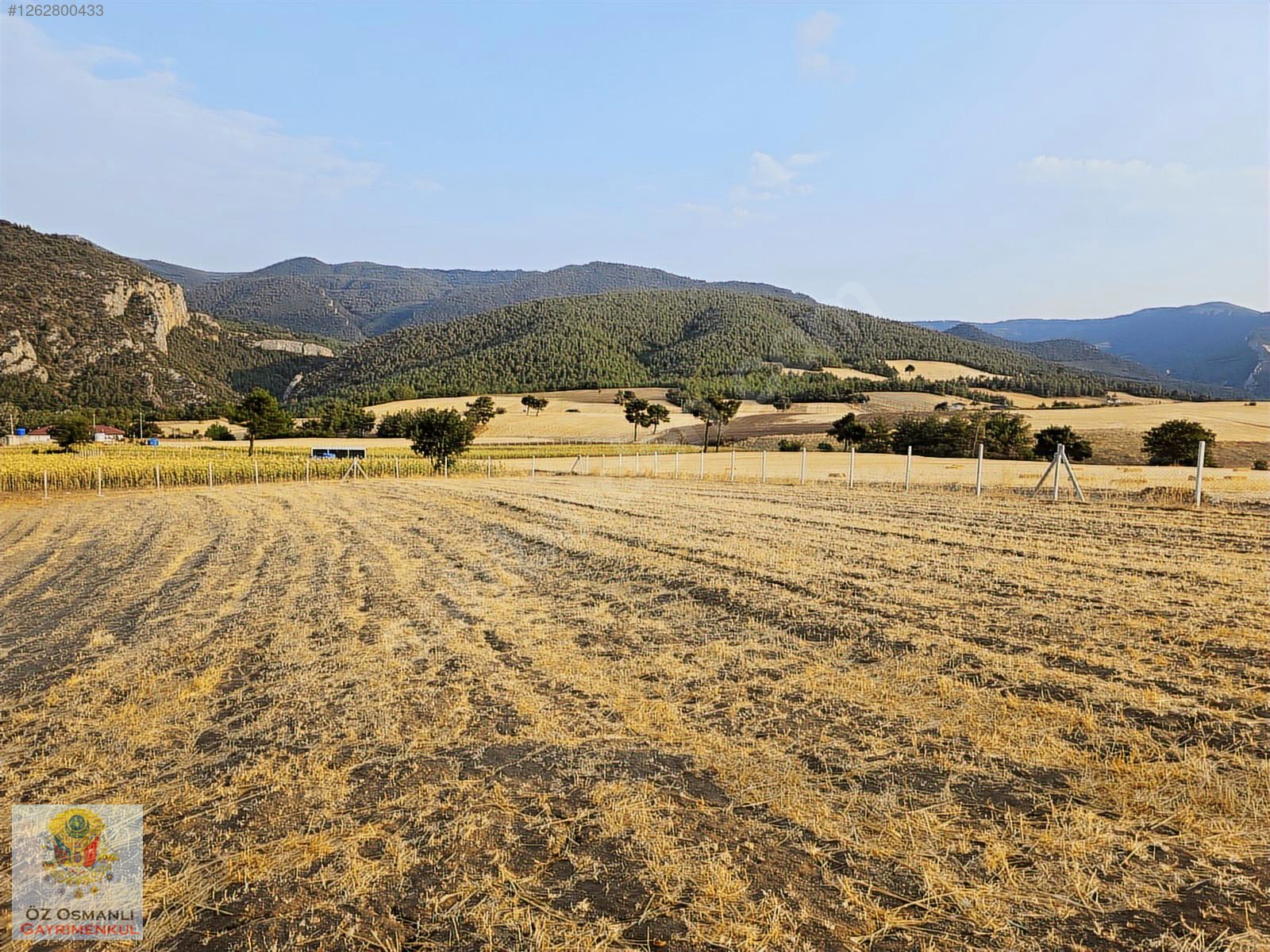 GEYVE'DE 2,300 M2 ARAZİ ÜZERİNDE EKSİKSİZ KONTEYNIR EV VE BAHÇE - SAKARYA GEYVE fotoğraf 4
