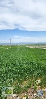 🚨 KÜTAHYA MERKEZ'DE 8.100 M² ÇİFTLİK VE PROJE YAPIMINA UYGUN HARİKA ARAZİ 🚨 - KÜTAHYA MERKEZ fotoğraf 15