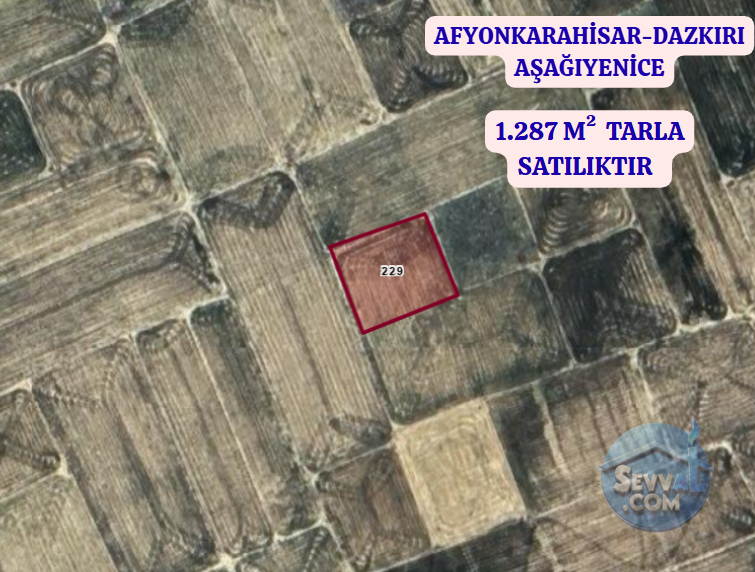 AFYONKARAHİSAR DAZKIRI AŞAĞIYENİCE  KÖYÜNDE 1.287 M²  TARLA  SATILIKTIR - AFYONKARAHİSAR DAZKIRI fotoğraf 2