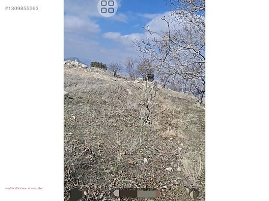 KEMER DE ŞEHİR MANZARALI 7500M2 İÇİNDE 50 KADAR YETİŞMİŞ CEVİZ - BURDUR KEMER fotoğraf 21