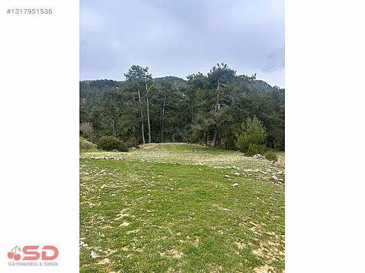 Muğla Akbük koyuna 15 dk mesafede kelepir 1777 m2 arazi - MUĞLA MENTEŞE fotoğraf 10