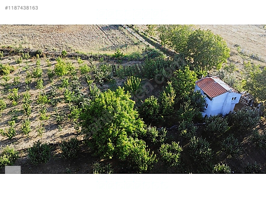 ÇANAKKALE BAYRAMİÇ BEŞİK KÖYÜ 6.900 m2 MEYVA BAHÇESİ 96 m2 EV - ÇANAKKALE BAYRAMİÇ fotoğraf 35