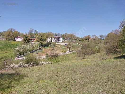GEBZE AHATLI KÖYÜNDE 21 DÖNÜM ŞİLE SINIRI TARLA - KOCAELİ GEBZE fotoğraf 12