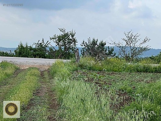 İNEGÖL DÖMEZ MH SATILIK TOPLAM 3.000M2 - BURSA İNEGÖL fotoğraf 8
