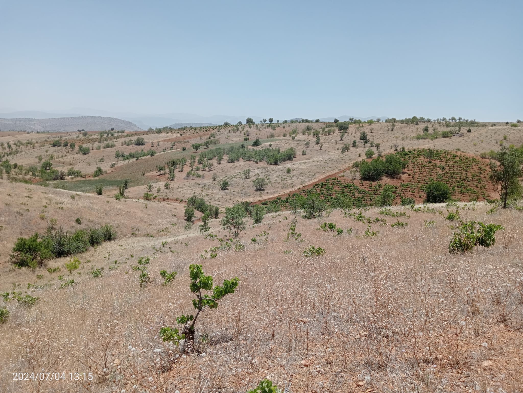 KARAMAN MERKEZ MURATDEDE  KÖYÜNDE 3.472  M²  BAĞ  SATILIKTIR - KARAMAN MERKEZ fotoğraf 3