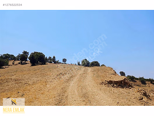 SARIGÖL YENİKÖY'DE ARAÇ TAKASLI UYGUN TEK TAPU 12.190m2 TARLA - MANİSA SARIGÖL fotoğraf 3
