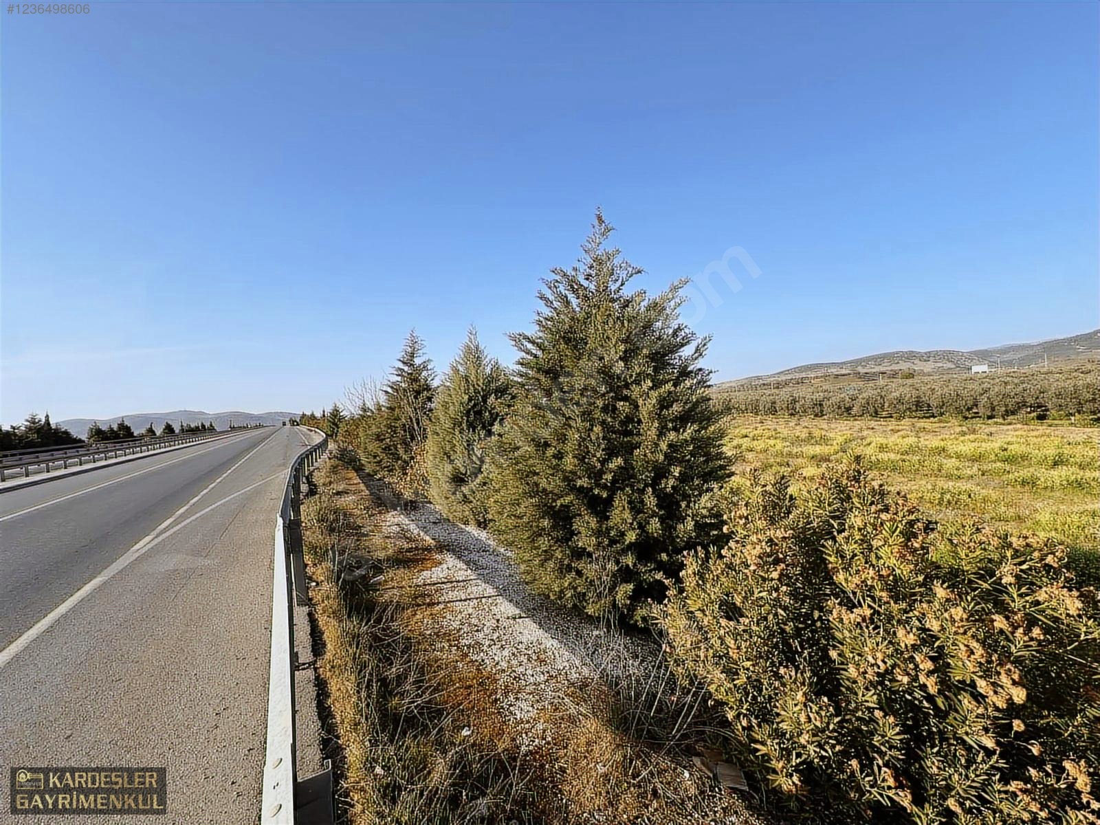SATILIK GÖLMARMARA SALİHLİ YOLU ÜZERİNDE ASFALT ÜSTÜ ZEYTİNLİK - MANİSA AKHİSAR fotoğraf 6