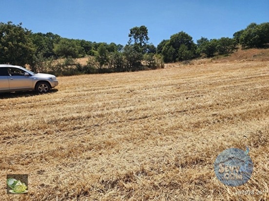 🚨 DURSUNBEY'DE 3.253 M² DOĞA MANZARALI HARİKA TARLA 🚨 - BALIKESİR DURSUNBEY fotoğraf 13