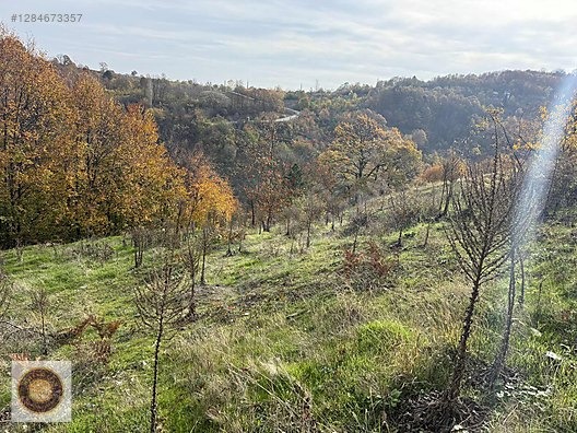 KESTEL LÜTFIYE MH SATILIK 1806M2 TARLA ASVALT YOLA CEPHE - BURSA KESTEL fotoğraf 28