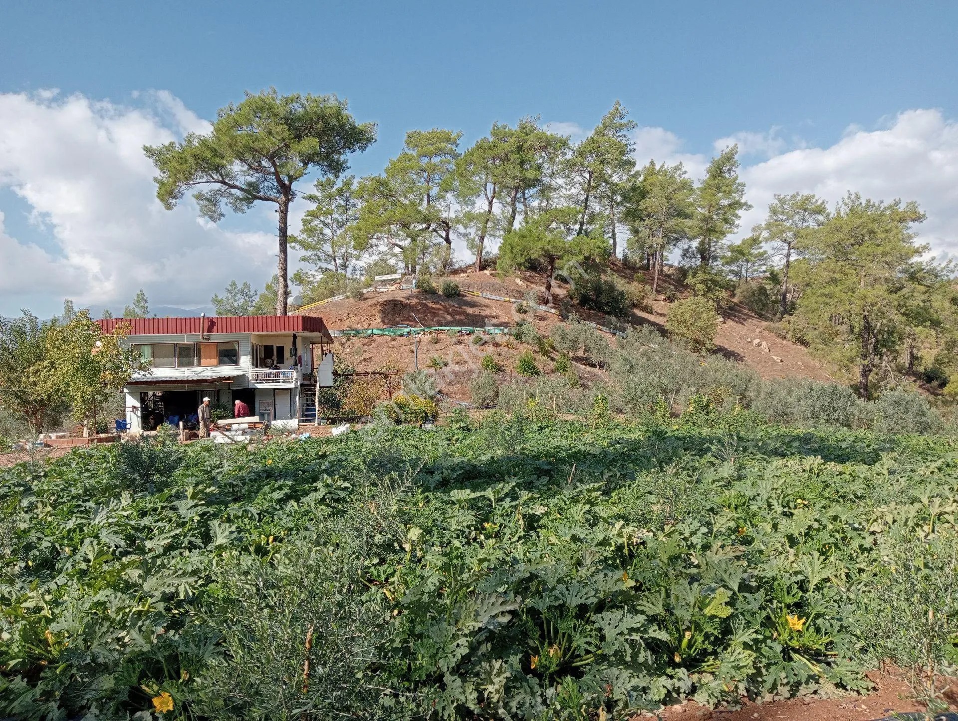 Antalya Kumlucada Satılık Müstakil Bahçe İnceoğlu Emlak - ANTALYA KUMLUCA fotoğraf 4