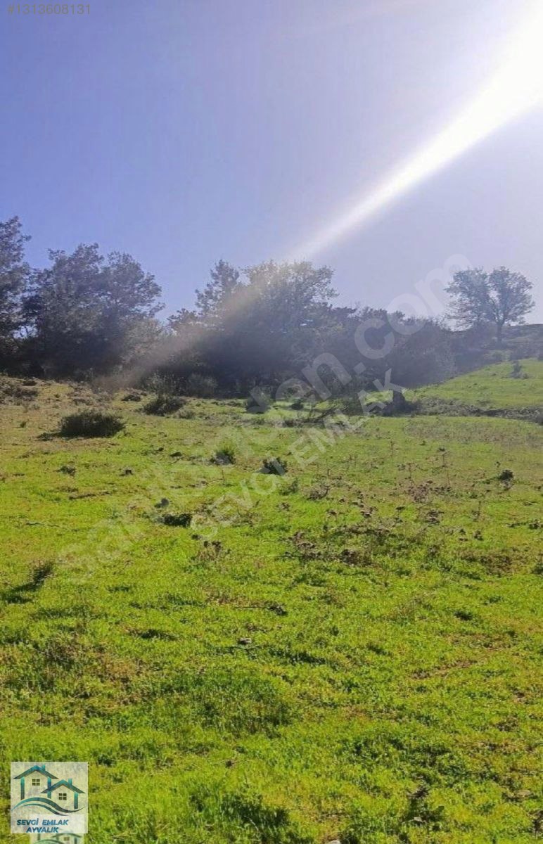 İzmir, Kınık, Büyükoba'da Satılık Tarlalar - İZMİR KINIK fotoğraf 17