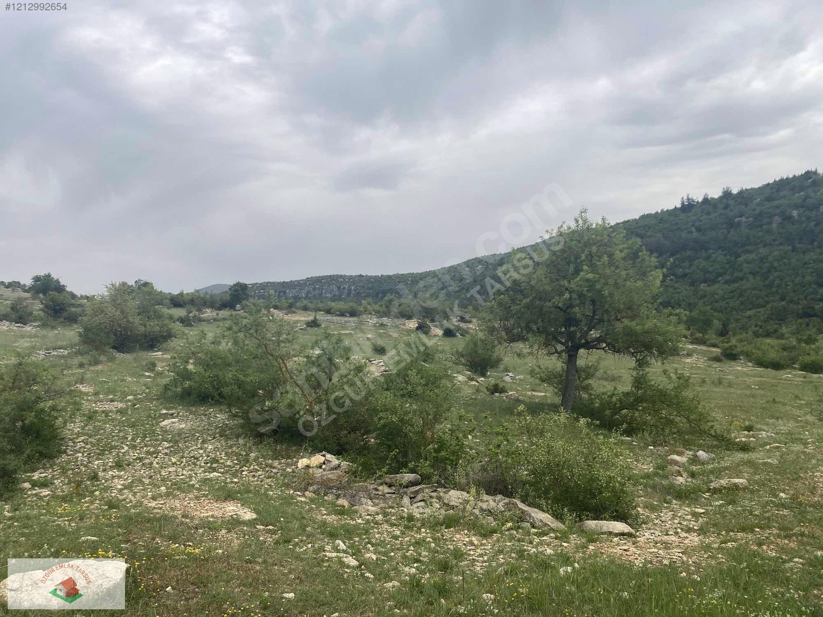 Çamlıyayla Giden Köyü Satılık Arsa Tek tapu - MERSİN ÇAMLIYAYLA fotoğraf 3