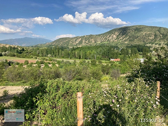 SATILIK MEYVE BAHÇESİ - TOKAT MERKEZ fotoğraf 5