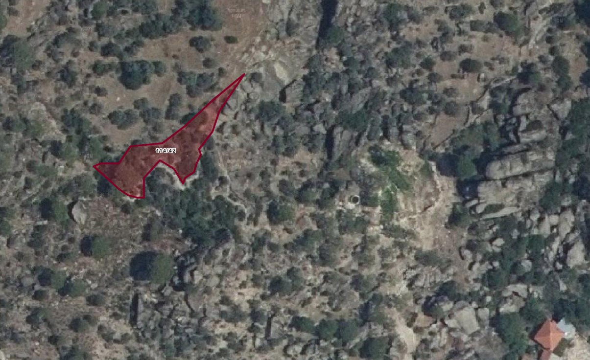 AYDIN KOÇARLI KULLAR 646 M2 FISTIK ÇAM ZEYTİNLİ TARLA SATILIKTIR - AYDIN KOÇARLI fotoğraf 7