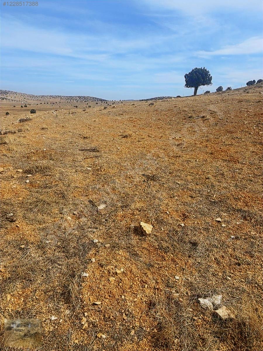 acil.Korkuteli sımandırda.sanayi arsalarına komşu2382m tarla - ANTALYA KORKUTELİ fotoğraf 12